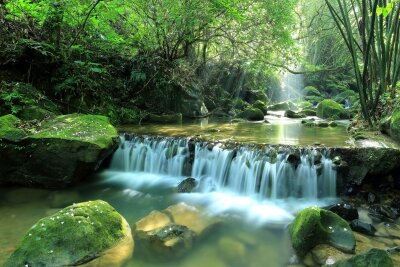 Фотообои Лесной водопад