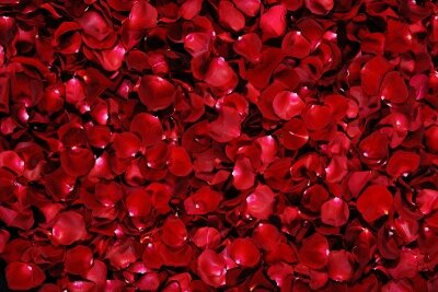 Фотообои для спальни Красные лепестки розы