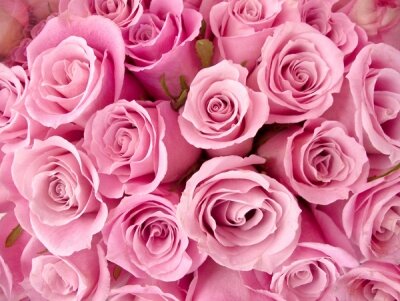 Фотообои для спальни Букет розовы роз