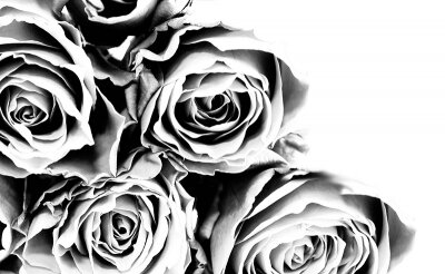 Черно-белые фотообои Букет роз