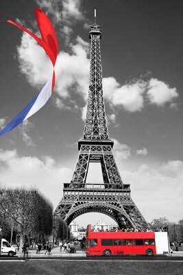 Черно-белые фотообои Прогулка по Парижу