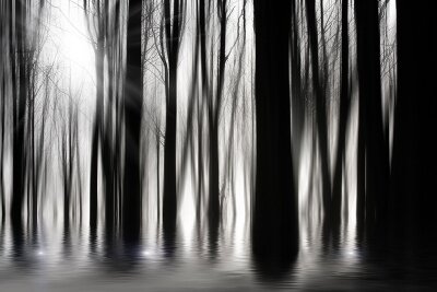 Черно-белые фотообои «Деревья в воде»