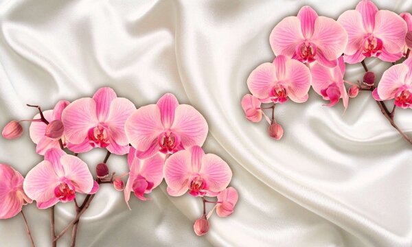 Фотообои орхидеи на атласе
