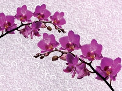 Фотообои 3д орхидеи цветы