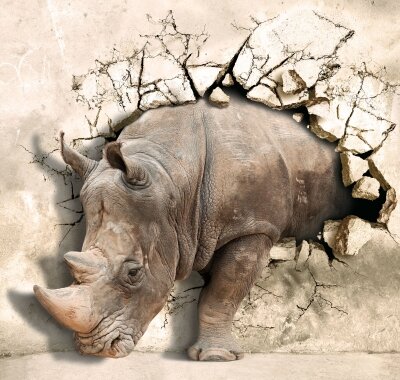 Фотообои 3д носорог